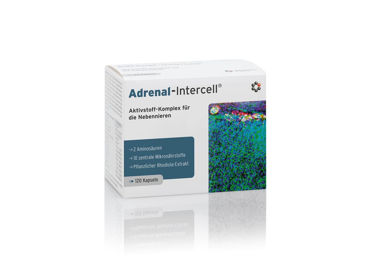 Intercell Pharma - Adrenal Support - 120 Kapseln – Intercell Verpackung