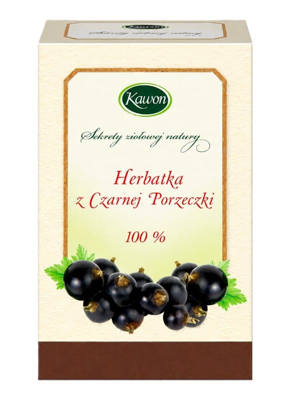 Kawon Czarna Porzeczka Fruktfix 20x3g – Kawon opakowanie