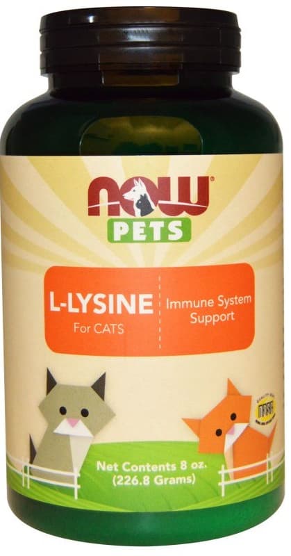 NOW Foods L-Lysine For Cats Pulver 226,8g – NOW Foods förpackning