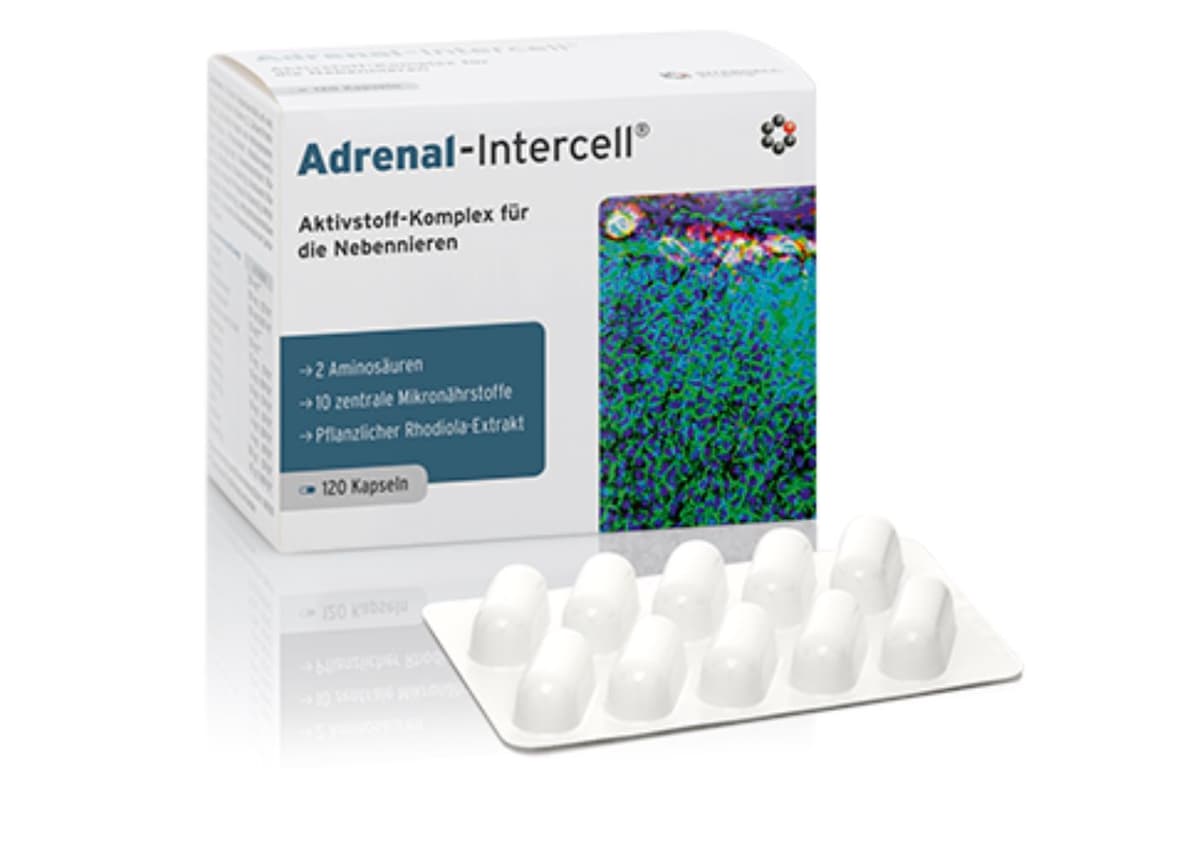 Intercell Pharma - Adrenal Support - 120 capsules – Intercell packaging