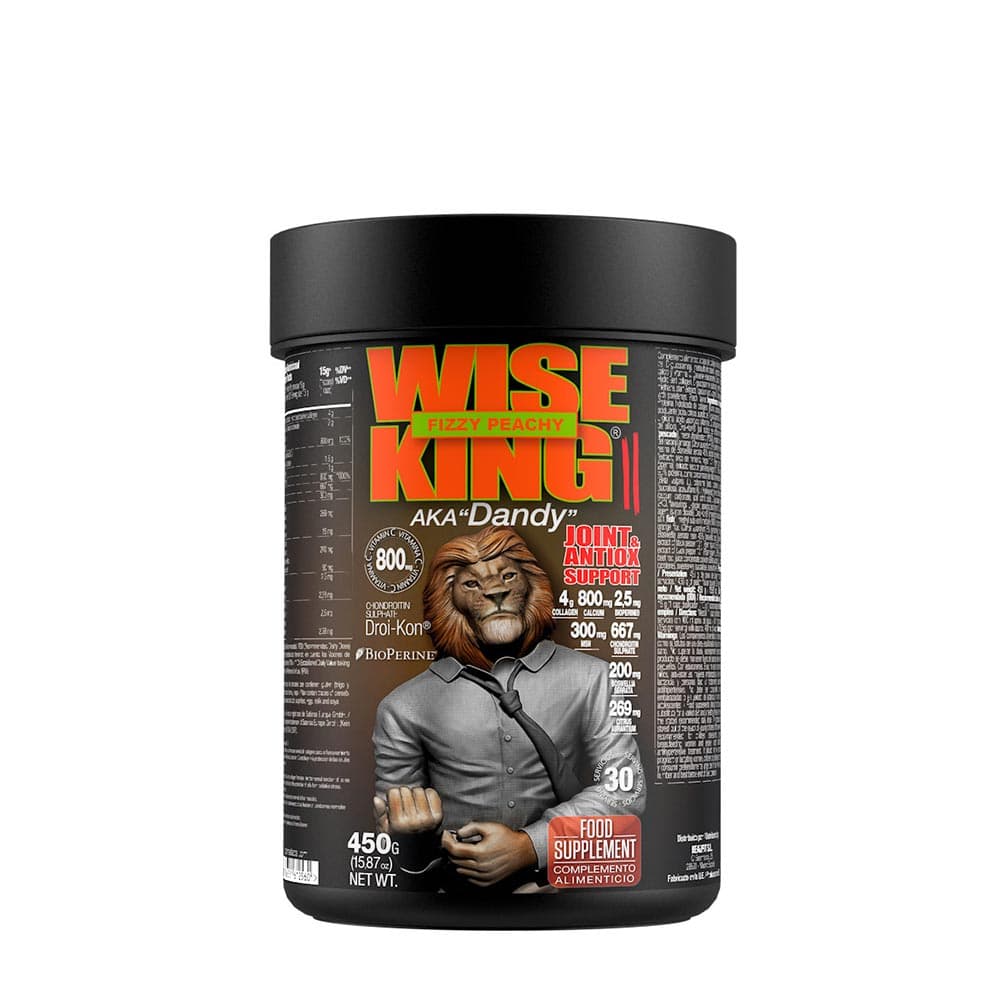 Zoomad Labs - Wise King
