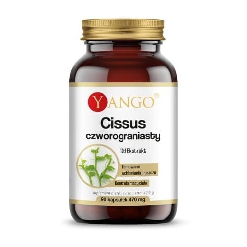 Yango Cissus Quadrangularis 10:1 - 90 cápsulas vegetales