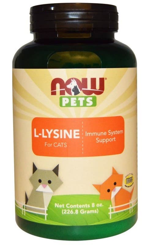 NOW Foods L-Lysine For Cats Poudre 226,8g – NOW Foods emballage