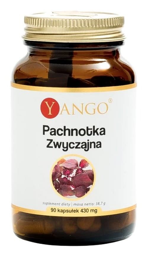 Yango Perilla Frutescens 10:1 - 90 kapsułek – Yango packaging