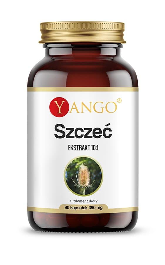 Yango - Teasel Extract 10:1, 90 kapsułek – Yango packaging