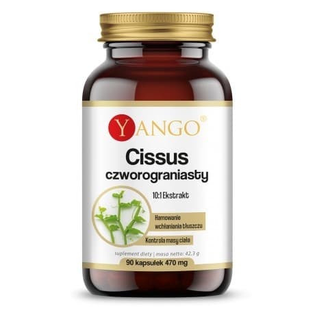 Yango Cissus Quadrangularis 10:1 - 90 vegetariska kapslar – Yango förpackning