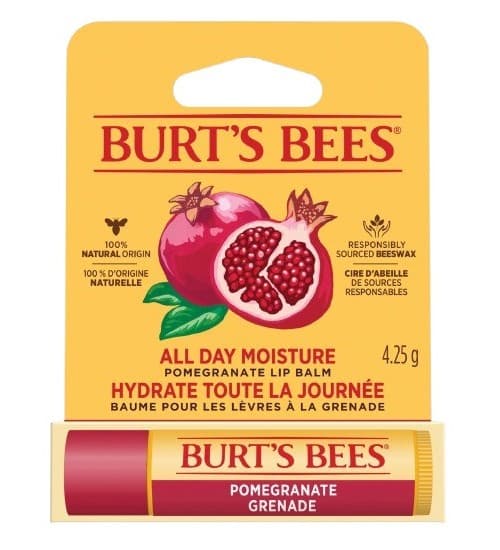 Burt's Bees - All Day Moisture Lip Balm